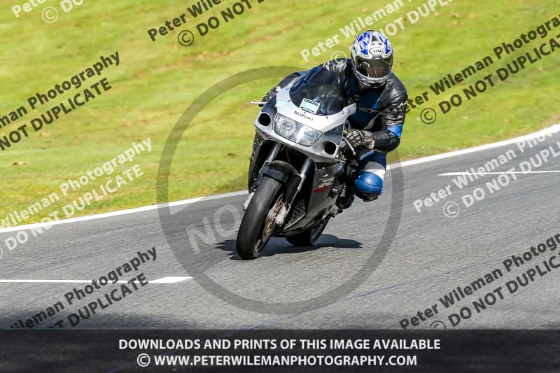 Oulton Park 20th March 2020;PJ Motorsport Photography 2020;anglesey;brands hatch;cadwell park;croft;donington park;enduro digital images;event digital images;eventdigitalimages;mallory;no limits;oulton park;peter wileman photography;racing digital images;silverstone;snetterton;trackday digital images;trackday photos;vmcc banbury run;welsh 2 day enduro